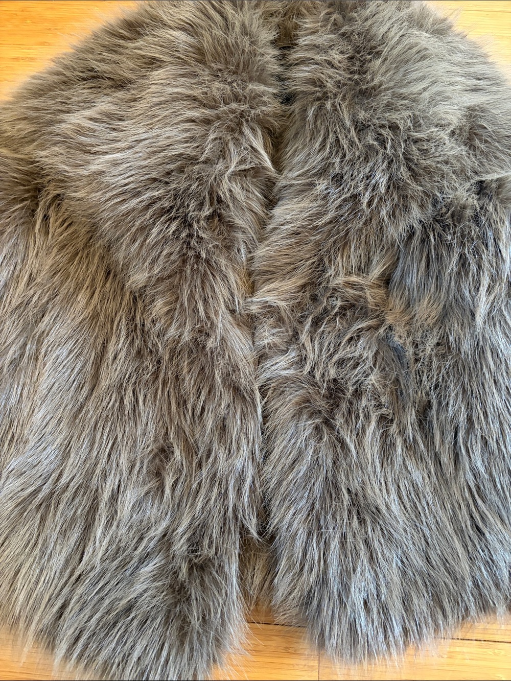 Zara coat